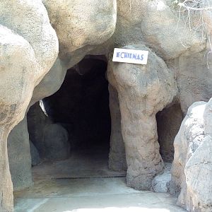 Echidna Exhibit - Entrance Cave