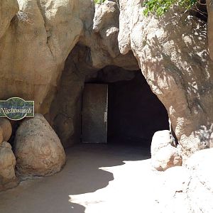 Nocturnal House - Entrance Cave