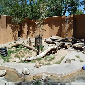 Bengal Tiger Exhibit