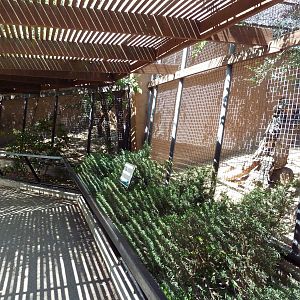 Jaguar + Meerkat Exhibits