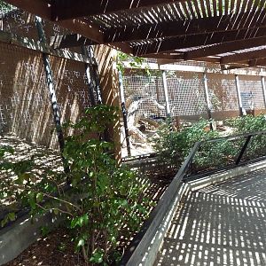 Meerkat + Jaguar Exhibits