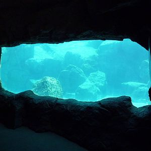 Inukshuk Bay - Polar Bear Exhibit