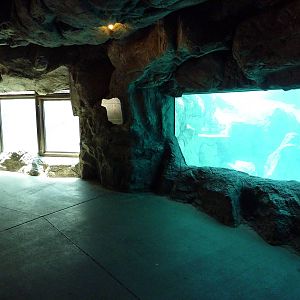 Inukshuk Bay - Polar Bear Exhibit