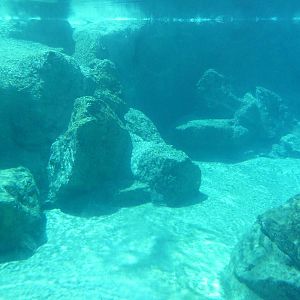 Inukshuk Bay - Polar Bear Exhibit