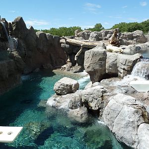 Inukshuk Bay - Polar Bear Exhibit
