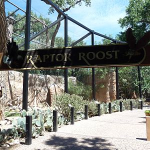 Raptor Roost