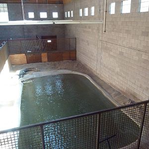 Saltwater Crocodile Exhibit (Temporary)