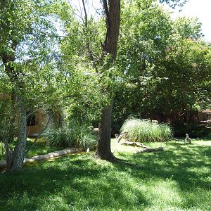 South American Waterfowl Exhibit