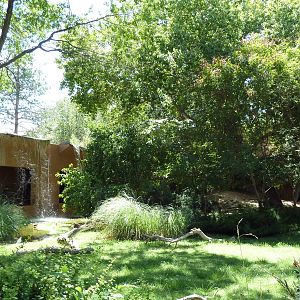 South American Waterfowl Exhibit