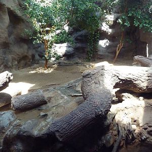 Reptile House - Komodo Dragon Exhibit