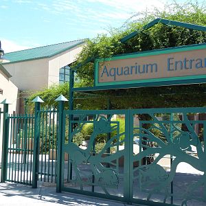 Aquarium Entrance