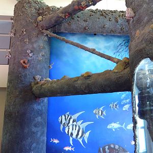 Rio Grande Pier Exhibit