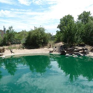 Shrimp Boat Outdoor Exhibit - No Animals