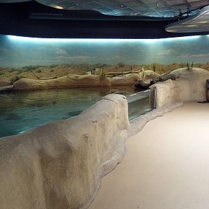 Shallows + Shores Exhibit (13 Species)