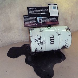 Shallows + Shores Exhibit (13 Species) - Oil Drum