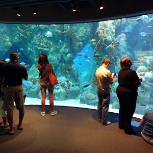 Coral Reef Exhibit