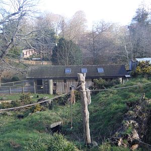 Sulawesi Macaque House