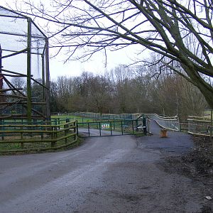 New path at Port Lympne Wild Animal Park, 13 February 2011