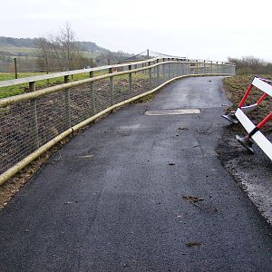 New path at Port Lympne Wild Animal Park, 13 February 2011