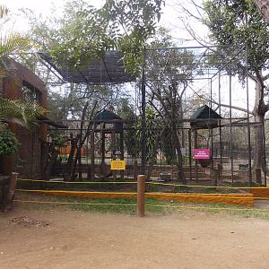 Squirrel Monkey cage - left window looks into shop