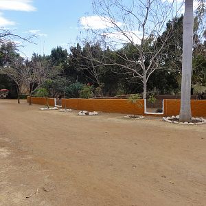 Path/ Tortoise, etc. exhibit