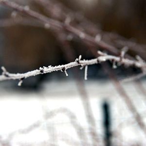 &amp;#346;l&amp;#261;ski Ogród Zoologiczny