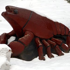 &amp;#346;l&amp;#261;ski Ogród Zoologiczny