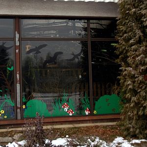 &amp;#346;l&amp;#261;ski Ogród Zoologiczny