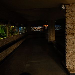 &amp;#346;l&amp;#261;ski Ogród Zoologiczny