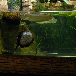 Slaski Ogrod Zoologiczny