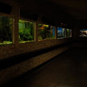 &amp;#346;l&amp;#261;ski Ogród Zoologiczny