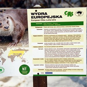 &amp;amp;#346;l&amp;amp;#261;ski Ogród Zoologiczny