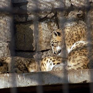 Slaski Ogrod Zoologiczny