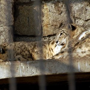 Slaski Ogrod Zoologiczny