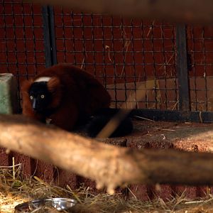 Slaski Ogrod Zoologiczny