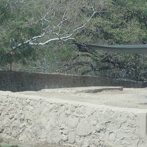 Rhino - right side of photo