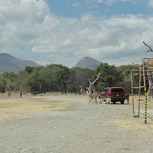 First drive thru area - food stall to the right