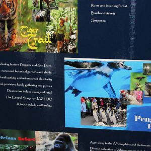 Master Plan-Info Board