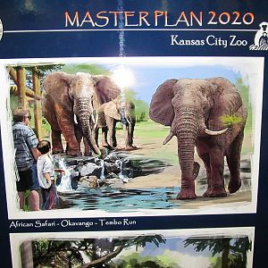 Master Plan-Elephants