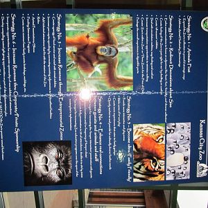 Master Plan-Info Board