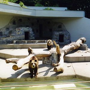 Mönchengladbach 2001 - Brown-bear enclosure
