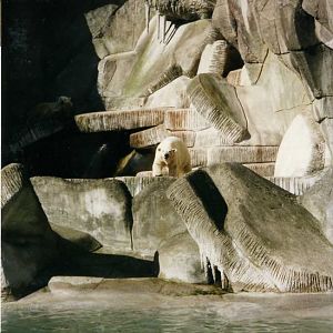 Hagenbeck 1997 - Eismeer