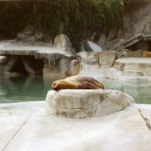 Hagenbeck 1997 - Eismeer