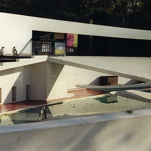 London 1999 - Penguin-pool