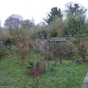 Aloatran Gentle Lemur Enclosure