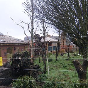 Kirindy Forest-Lemur Enclosure