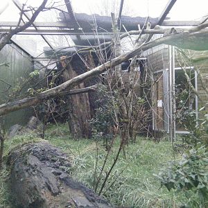 Kirindy Forest-Aye Aye and Jumping Rat Enclosure