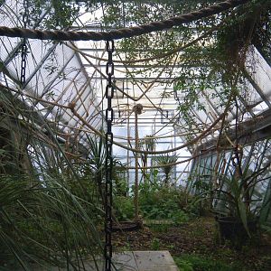 Cloud Forest Bat Tunnel