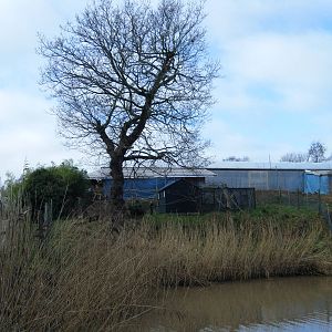 Red-Ruffed Lemur Enclosure