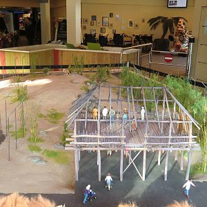 Future Lion Enclosure